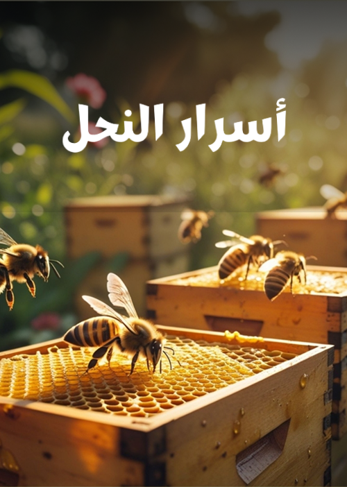 Secrets of Bees